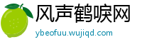 风声鹤唳网